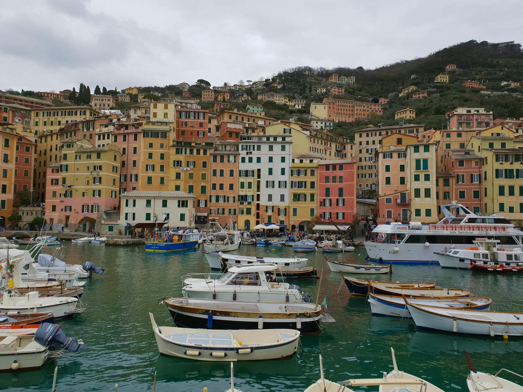Collioure depuis Le Barcarès : comment y aller et quoi voir